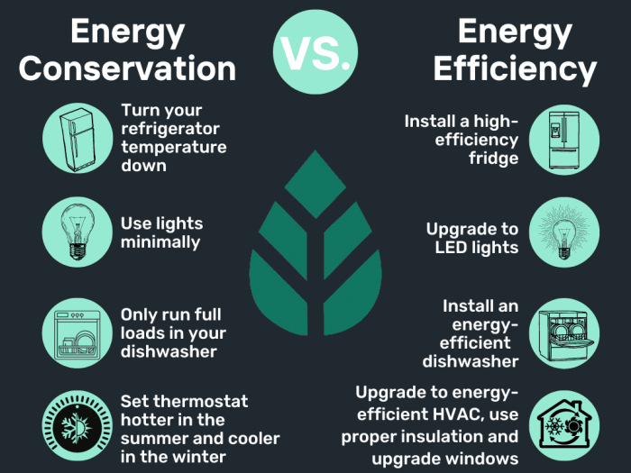 Energy Efficiency 101: Everything You Need to Know - EcoWatch